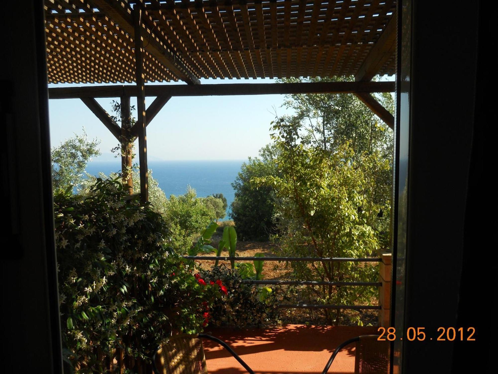 Delfinia