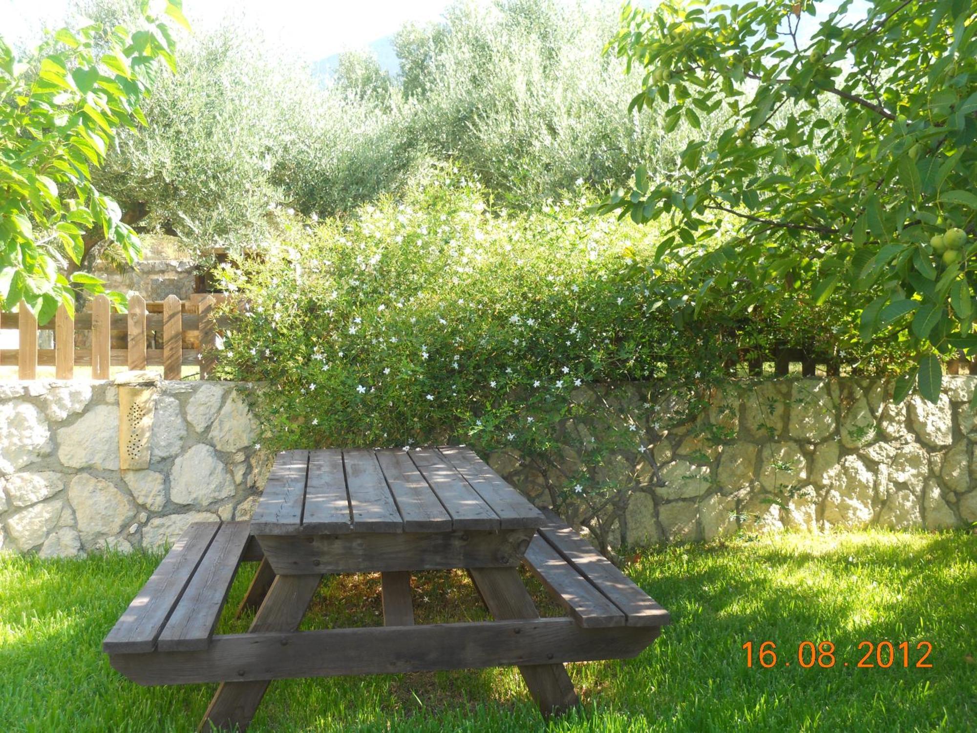 Delfinia Apartment *