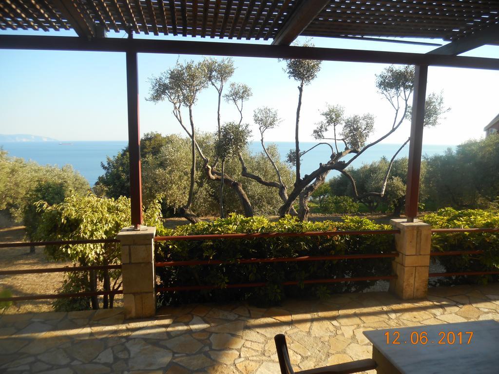 Apartment Delfinia Vlachata